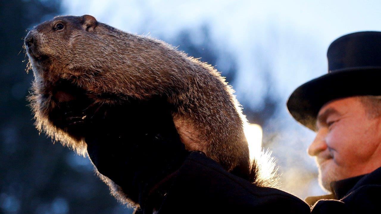 Hotel prices for Groundhog Day more expensive than for Super Bowl