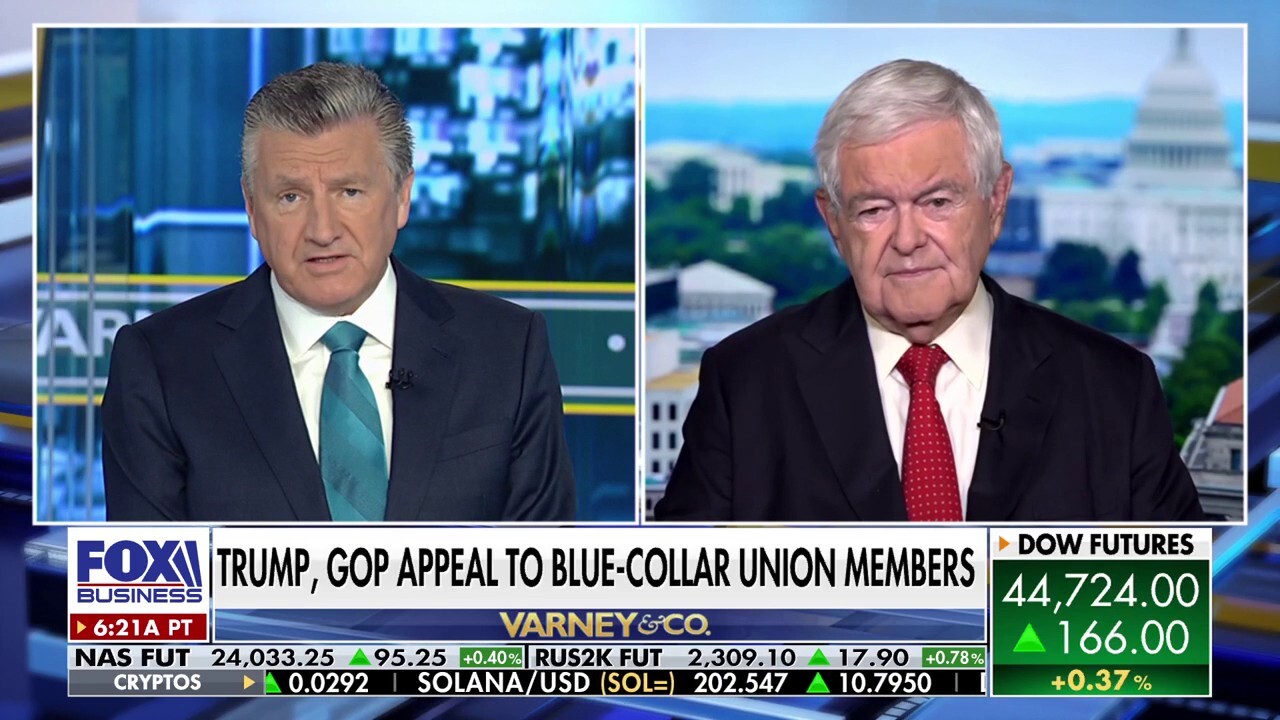 Newt Gingrich predicts 'enormously bad' midterm results for Democrats 