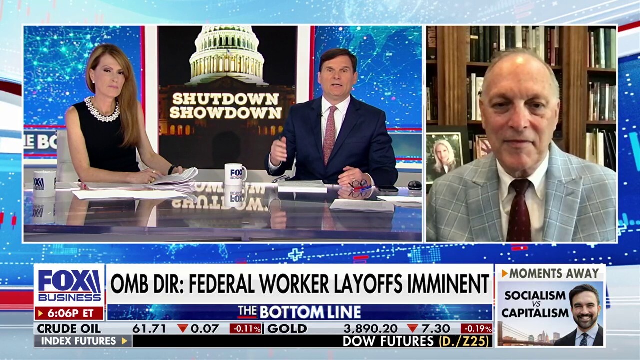 Democrats ‘played a game of chicken here’ over government shutdown, GOP lawmaker says