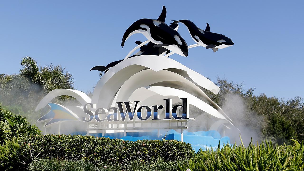 SeaWorld Interim CEO on coronavirus reopening: We’ll benefit from majority of visitors driving to our parks 