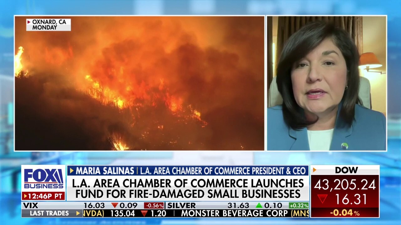 LA Chamber of Commerce CEO: Total donations to LA Small Business Fund to double by end of week