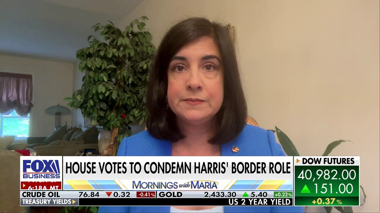 Voting for Kamala Harris is 'condoning' migrant lawlessness: Rep. Nicole Malliotakis