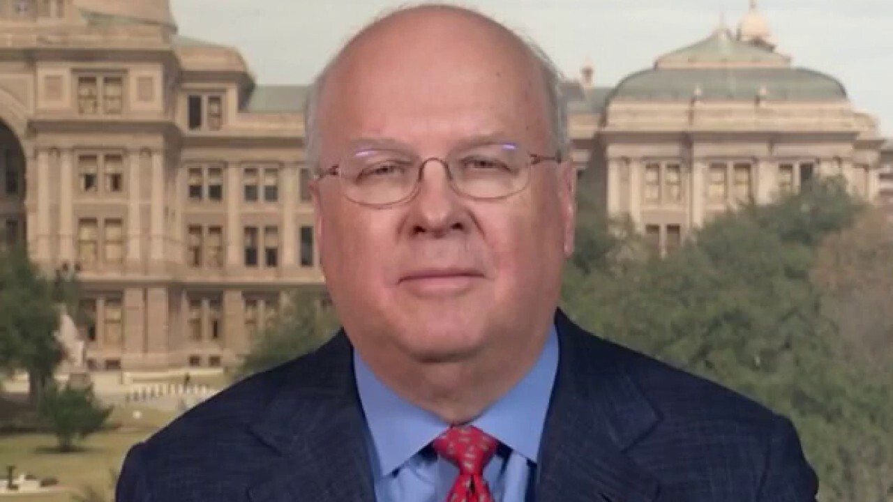 US business will make a comeback without help from government: Rove