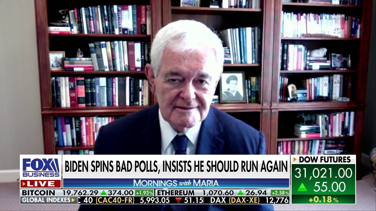 Former House Speaker and Fox News contributor Newt Gingrich argues Biden has been 'captured by the hard left.'
