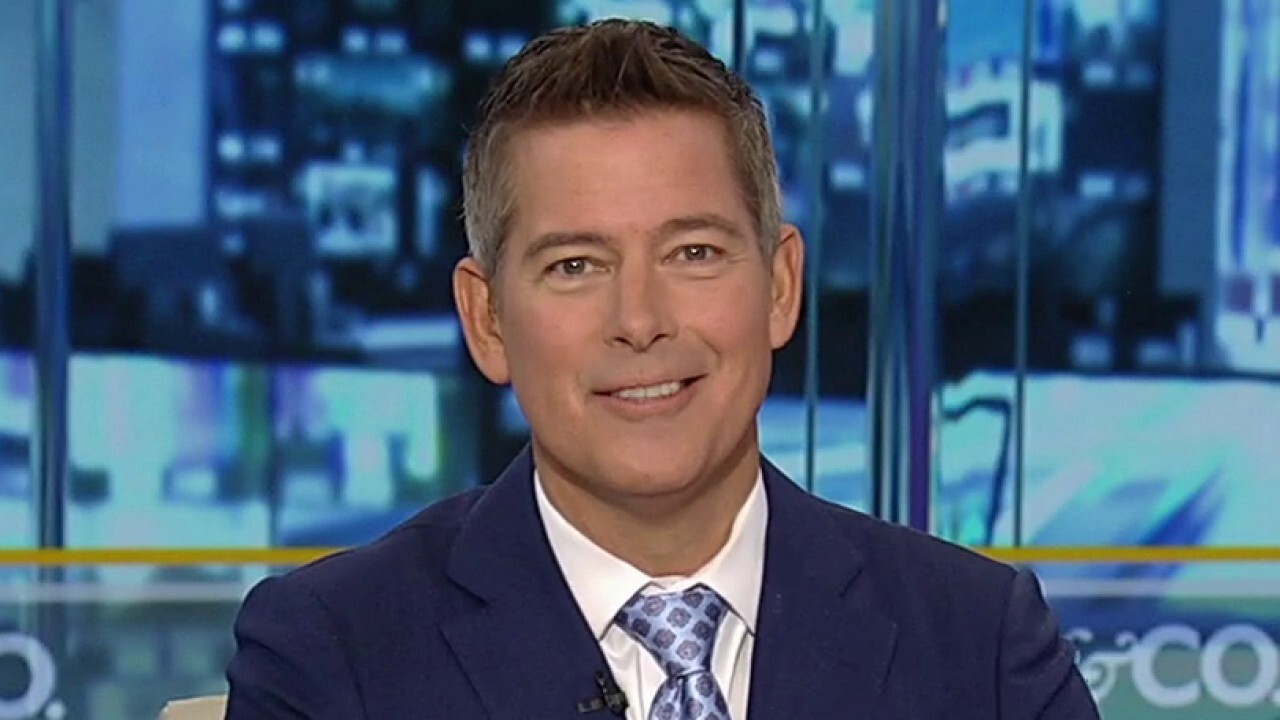 Biden administration 'wants' to see the border open: Sean Duffy