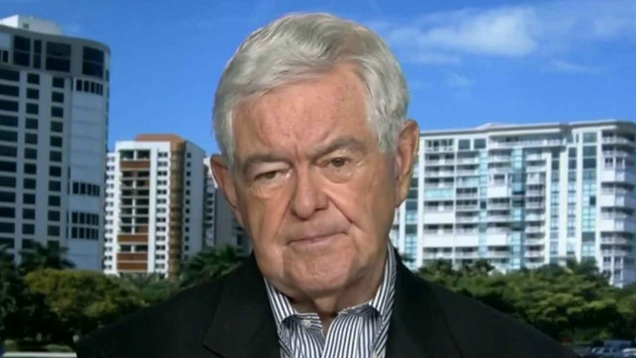 Newt Gingrich: Georgia Senate runoff election 'surprisingly' important race