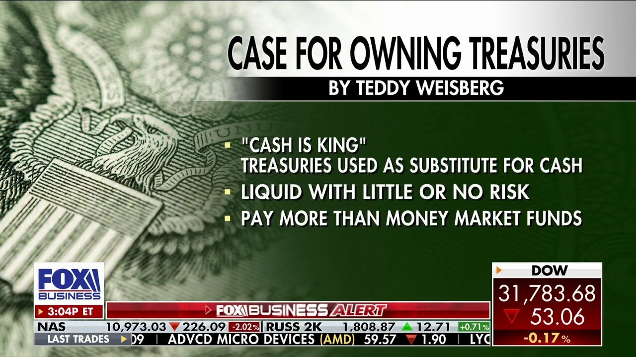 Treasuries are a 'no brainer' in a turbulent market: Teddy Weisberg 