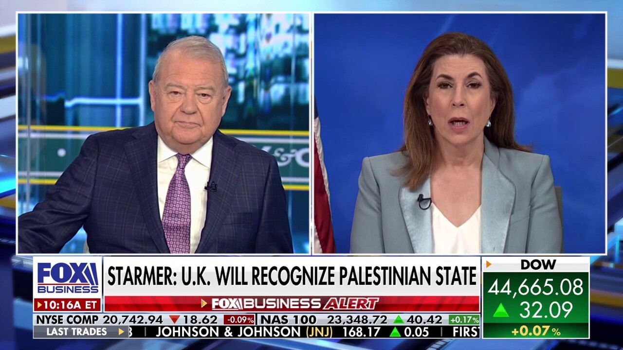 Tammy Bruce says 'this is what drives Trump' amid Gaza humanitarian crisis
