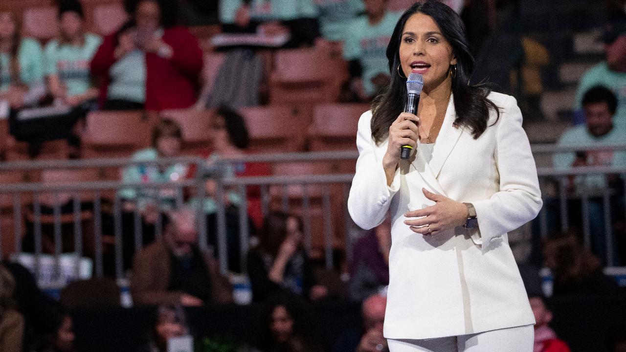 Tulsi Gabbard contends Democratic Party is trying to shut her down