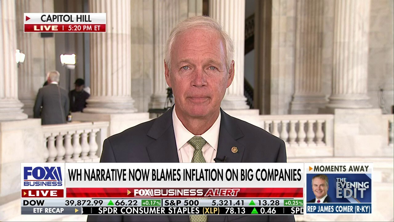 Americans are feeling 'real economic pain': Sen. Ron Johnson