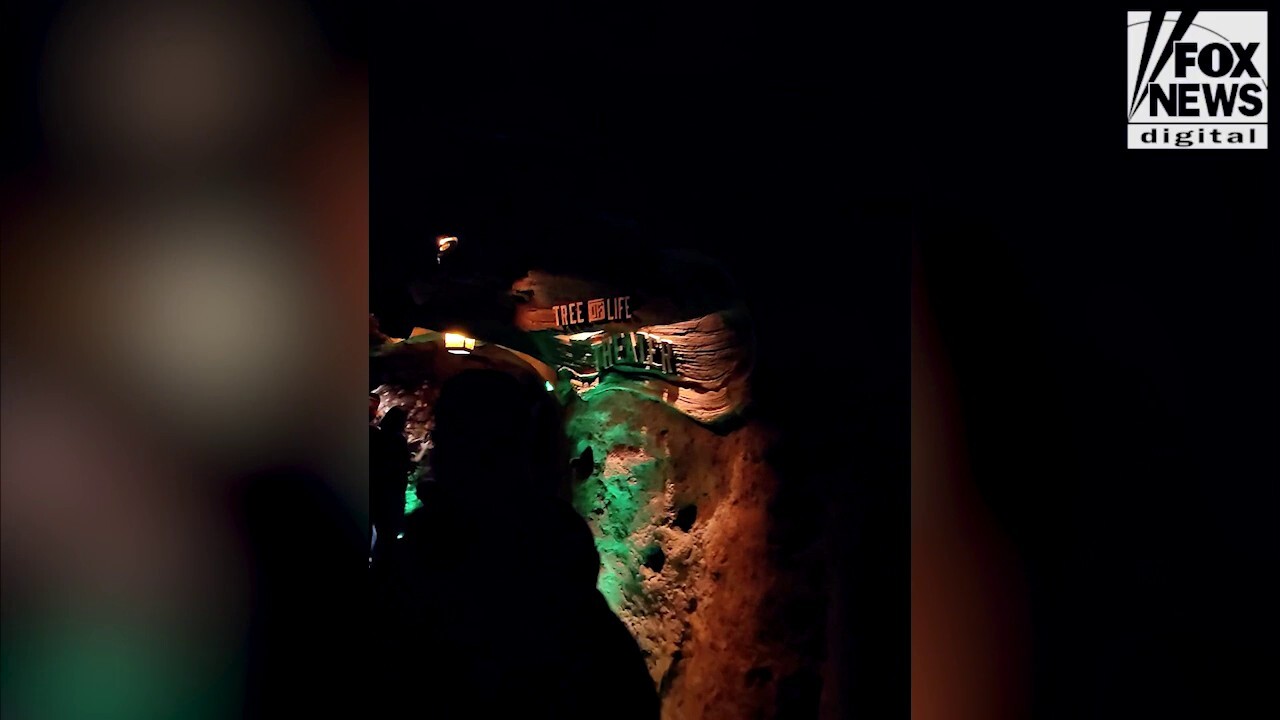 Walt Disney World is set to unveil "Zootopia: Better Zoogether!" at Disney's Animal Kingdom this week. Footage was filmed by Fox News Digital during a media preview on Nov. 3, 2025.