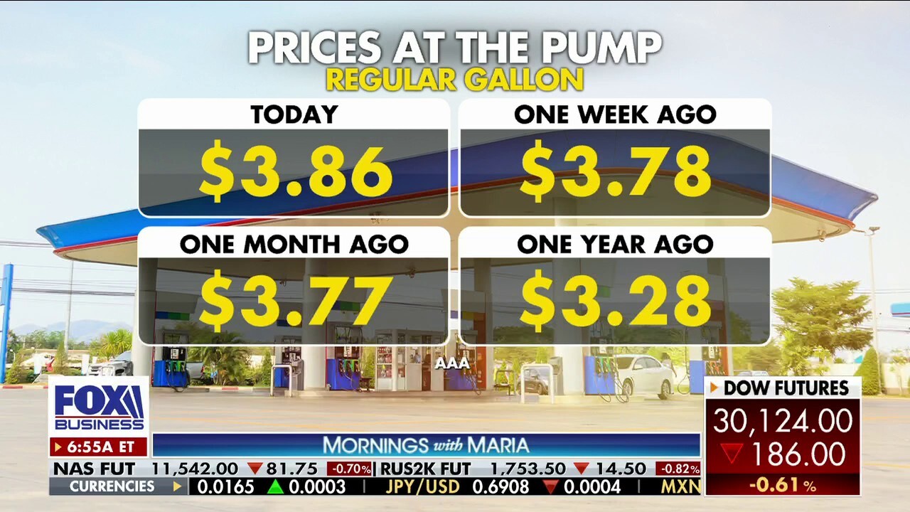 The Price Futures Group senior account executive Phil Flynn reacts to OPEC’s decision to cut oil prices and how that will impact U.S. gas prices on ‘Mornings with Maria.’