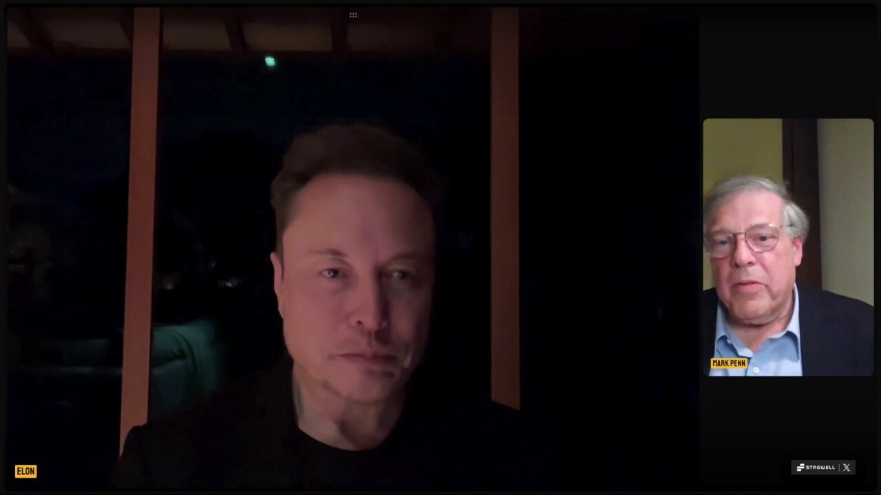 Elon Musk made the remark about DOGE’s potential to cut costs during a livestream with Stagwell Inc. CEO Mark Penn.