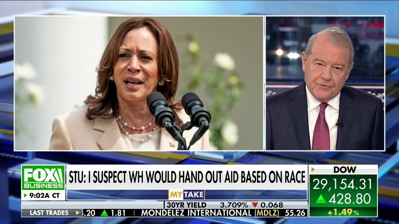 FOX Business host argues V.P. Harris covers the 'real message' while using 'lots of left-wing jargon.'