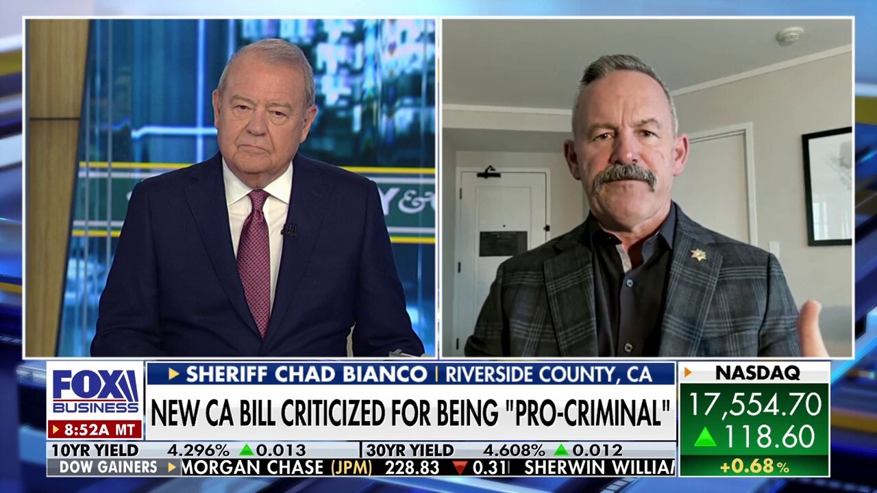 Proposed California bill is going to 'embolden' criminals, sheriff warns: 'Defies common sense'