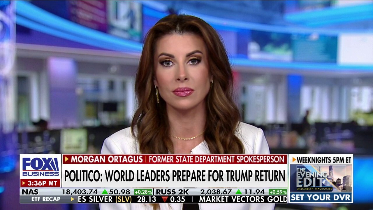 A lot of people were warning that Biden may not be up to the job: Morgan Ortagus