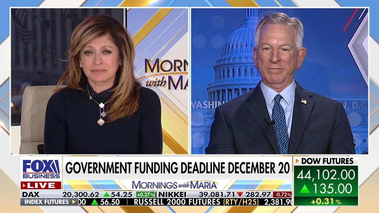 GOP senator rips 'absolutely ridiculous' stopgap bill: 'Merry Christmas American taxpayer'