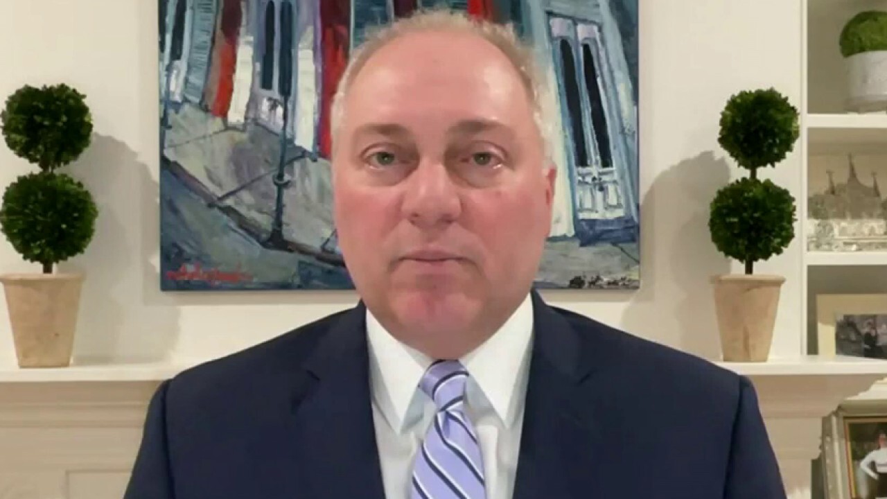 Steve Scalise: If GOP didn't win the House, do you think the public would know about the documents?