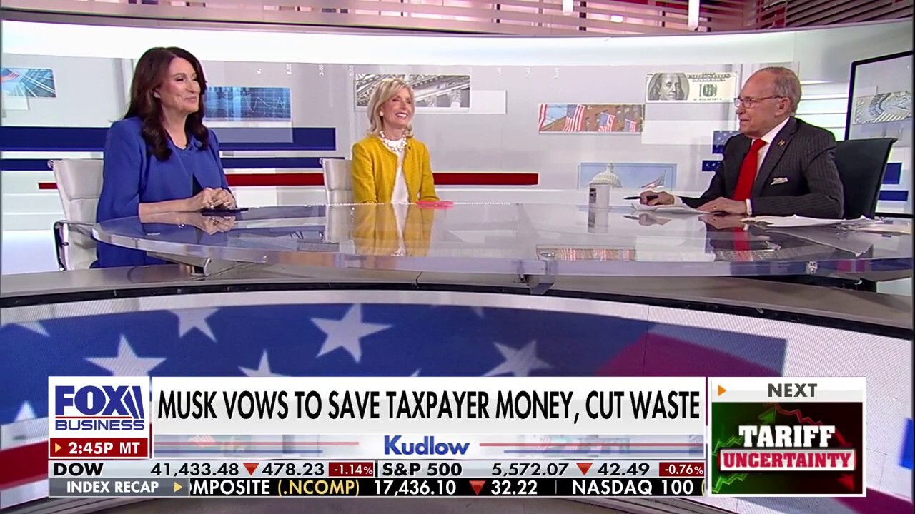 Democrats despise Elon Musk, Miranda Devine says