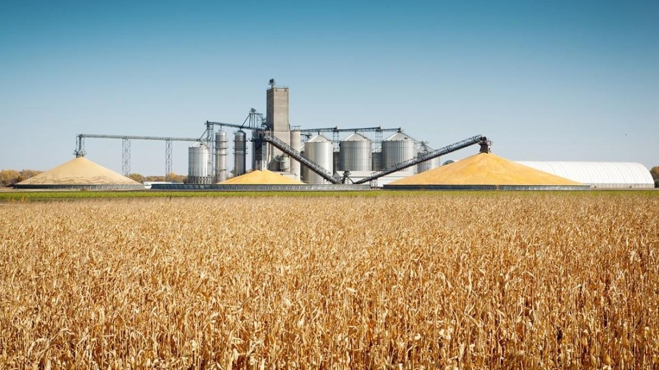 Iowa farmers support Trump despite trade war woes 