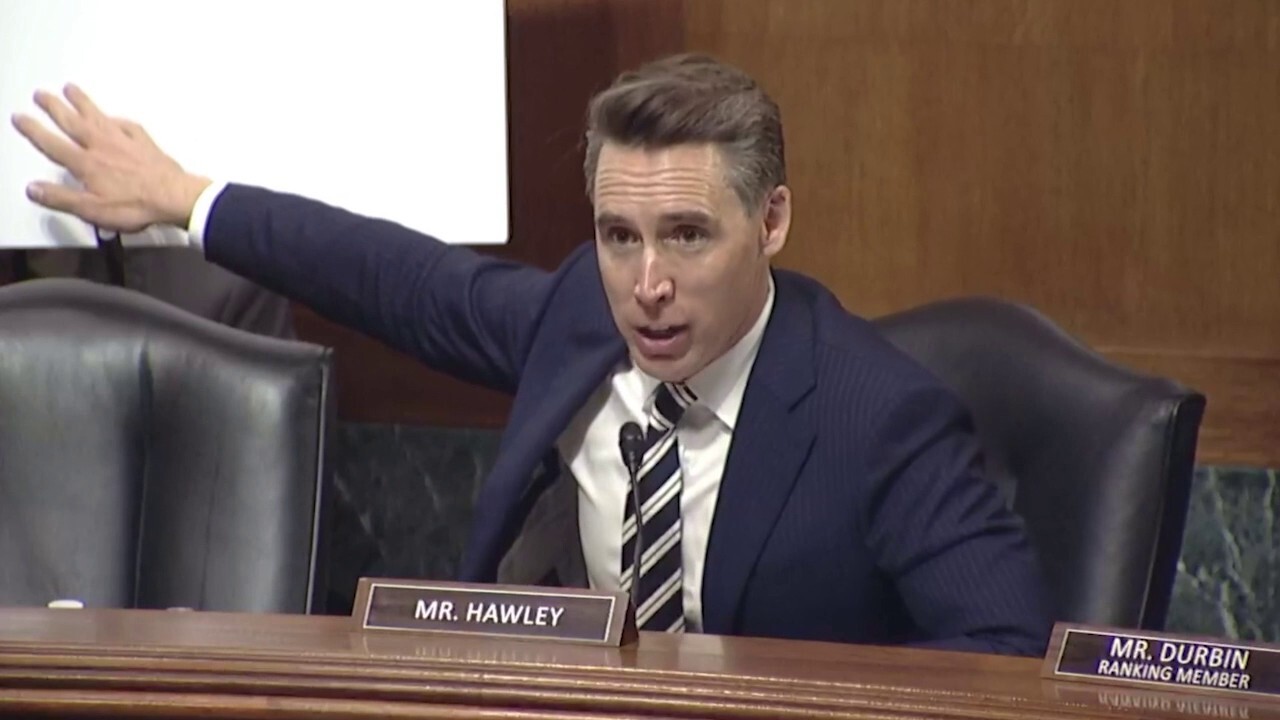 Sen. Josh Hawley, R-Mo., questions whether Meta overstepped copyright laws when it pirated works from authors to improve its AI functionality.