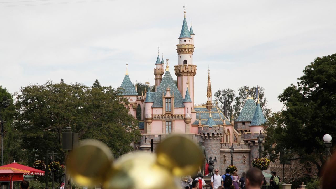Disney the next high-growth company?