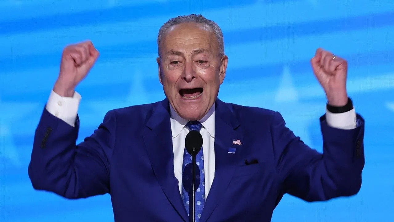 DOGE is driving Chuck Schumer crazy: Charles Payne