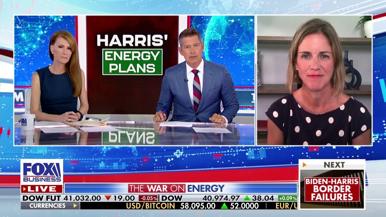 Amanda Eversole, the executive vice president of American Petroleum Institute, tells 'The Bottom Line' why her organization invited Vice President Kamala Harris to meet with energy leaders.