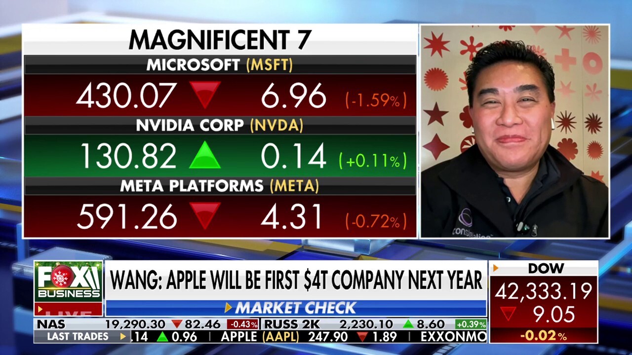 Magnificent 7 stocks going to do well in 2025, says financial expert