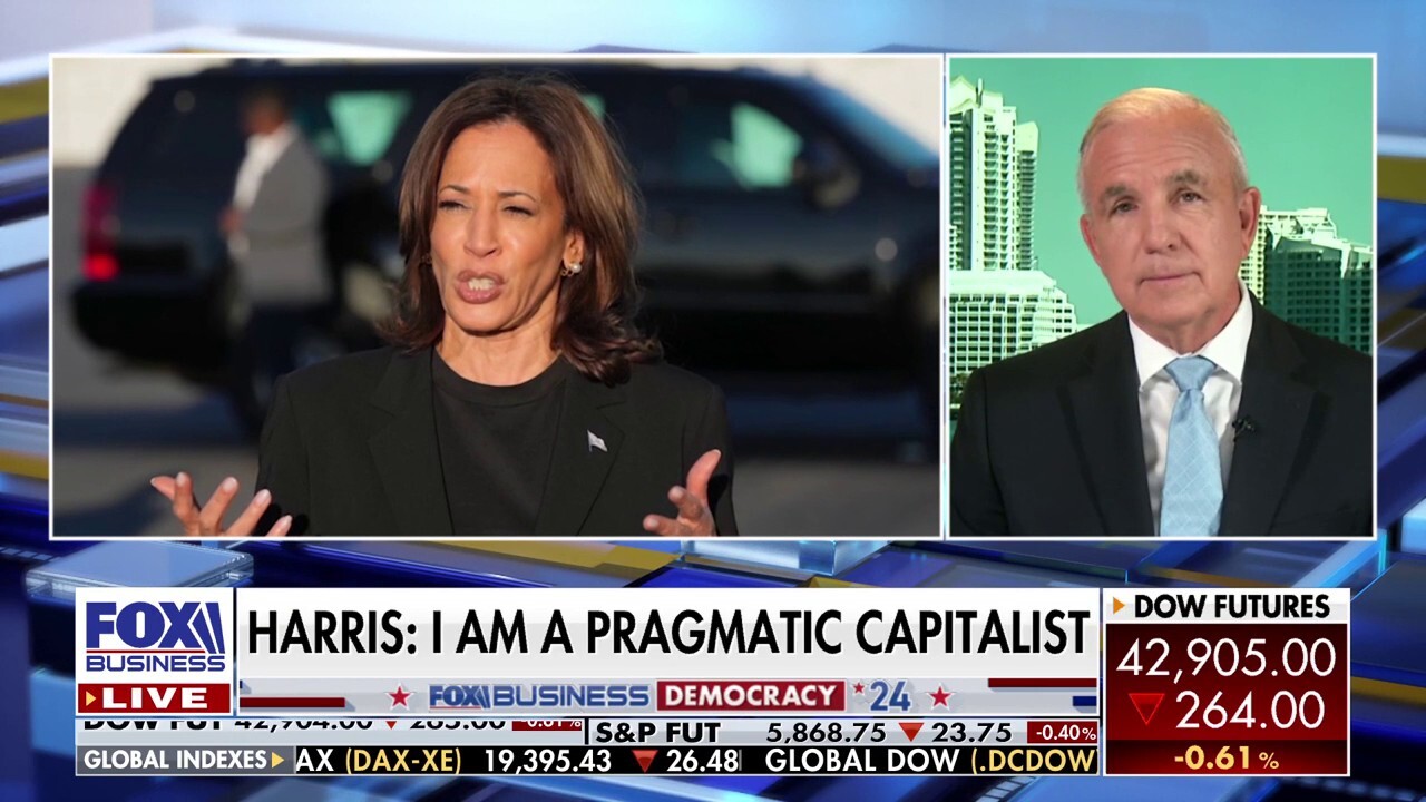 She's a 'socialist': Florida Republican rebuffs Harris calling herself 'pragmatic capitalist'