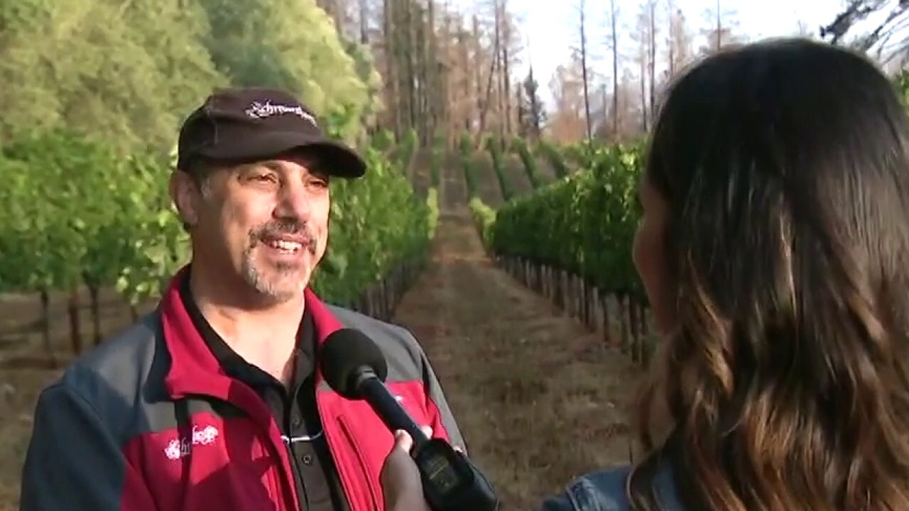 California wineries fear wildfire season as owners struggle to find insurance coverage. FOX Business' Lydia Hu with more.