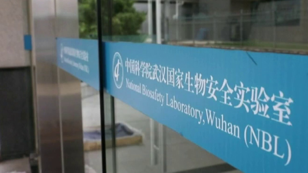 Wuhan lab's 'lethal' virus research buried in US databases for almost a year: rpt