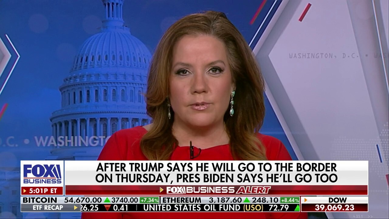 Senate border bill was really a Ukraine funding bill: Mollie Hemingway