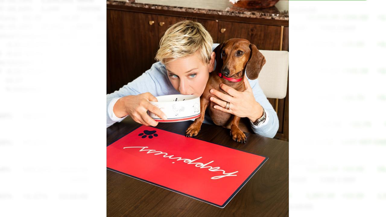 Ellen DeGeneres takes bite out of pet industry