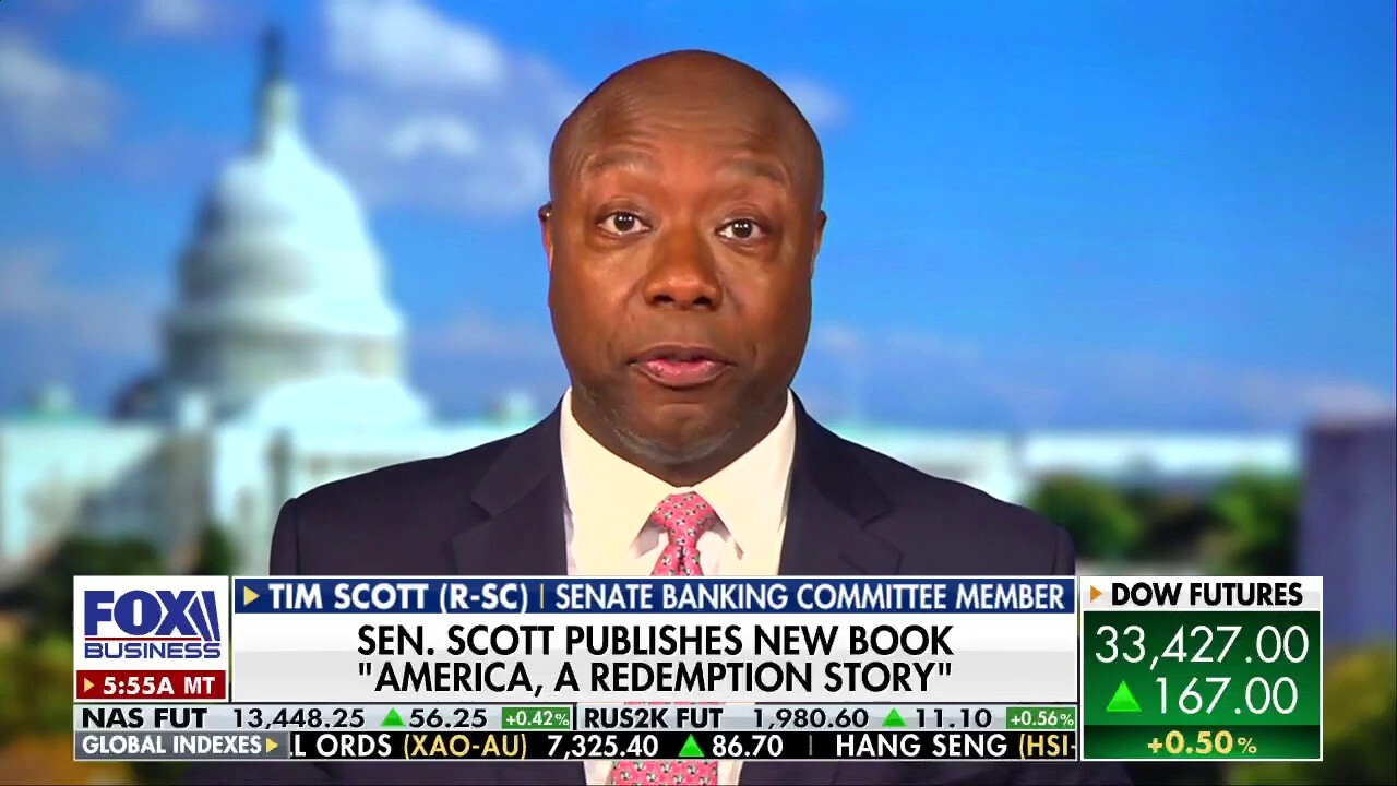 Sen. Tim Scott slams 'weaponized' DOJ: 'Focus on the double standard of justice'