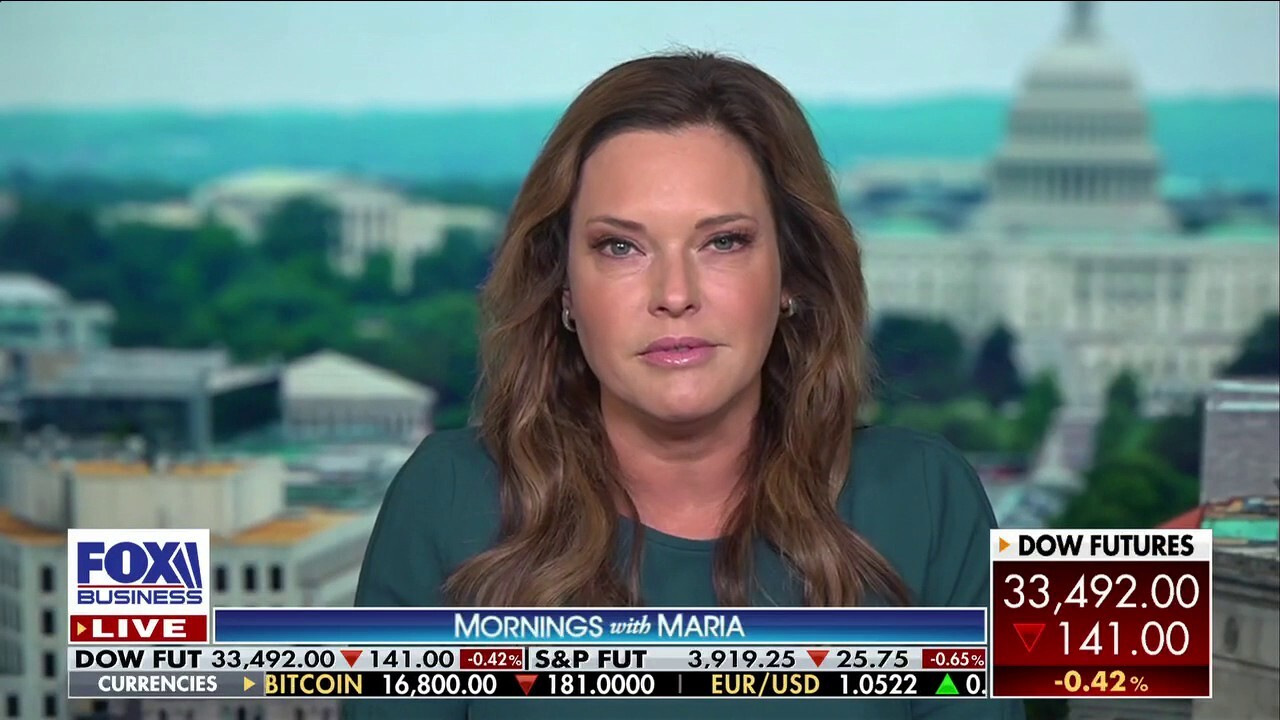 Georgia Senate runoff results are a ‘wake up call’ for Republicans: Mercedes Schlapp 