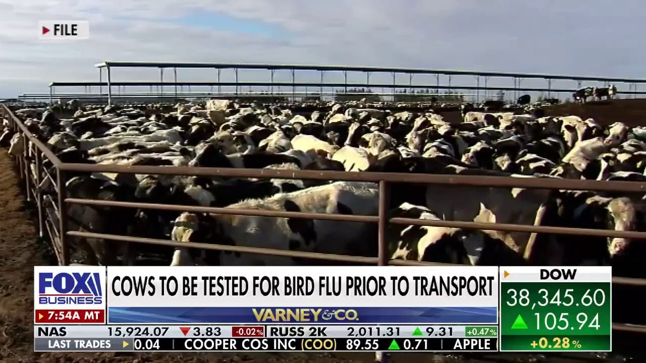 Fox News senior correspondent Jonathan Serrie speaks to medical and agricultural experts about lactose and dairy cattle testing for bird flu.