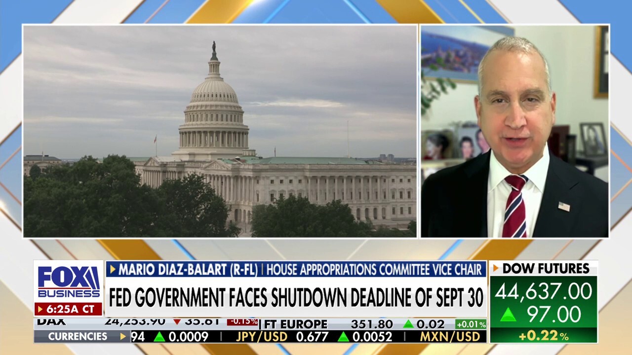 Schumer's government shutdown threat shows Democrats are in disarray, congressman says