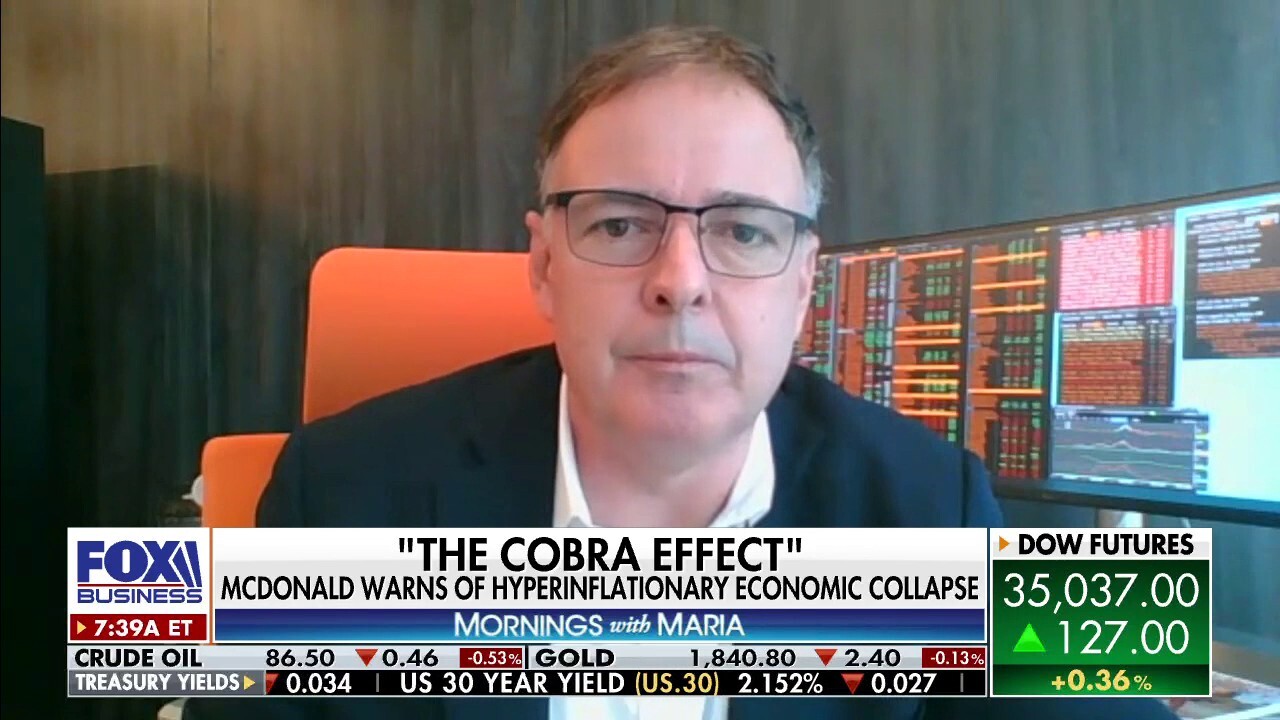 Market expert warns government response to COVID triggering 'cobra effect' in US