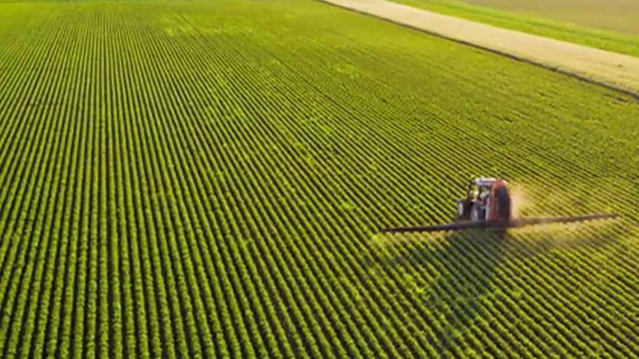 Farm bankruptcies surges as China tariffs continues to hurt industry