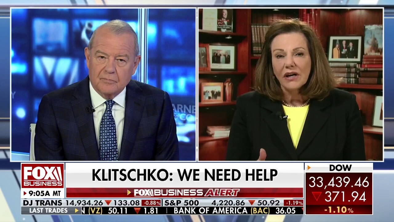 KT McFarland on Putin: 'He's lost the bigger picture'
