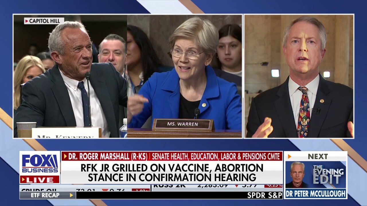 Dem senators ignored 80% of nation's health issues, GOP senator says on RFK hearing