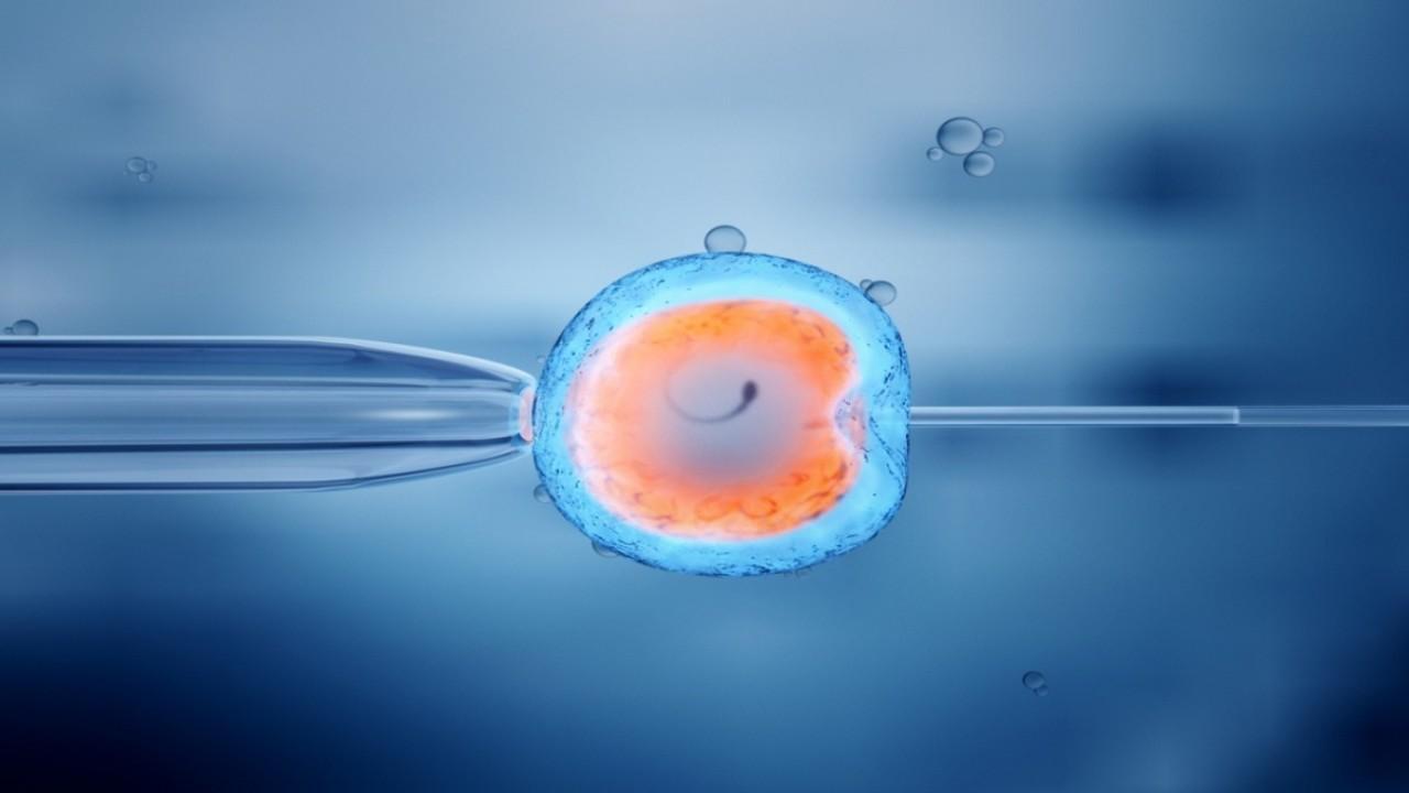 TMRW's 'transformative' IVF technology keeps eggs, embryos 'safe and secure' for families 