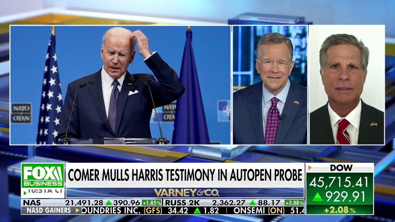 We need to know if Biden was executing executive powers and approving executive action, says Rep. Dan Meuser