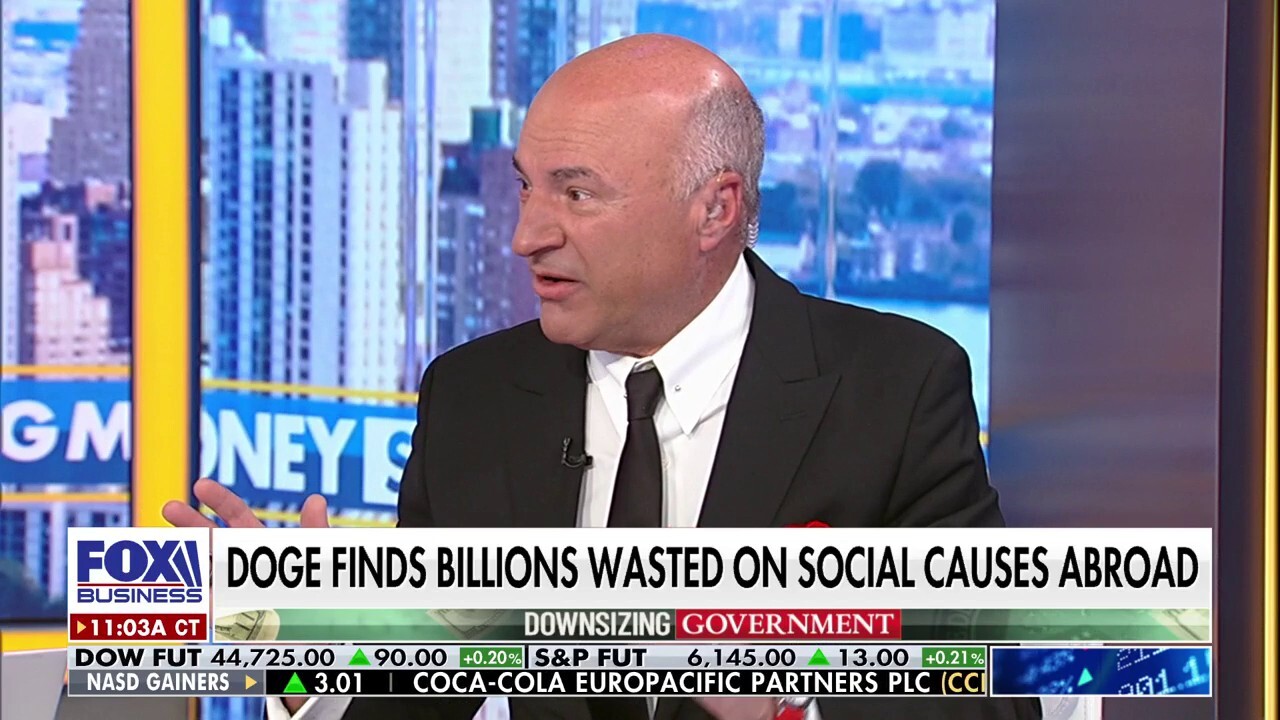 Kevin O'Leary joins 'The Big Money Show' to break down how DOGE and the Trump administration are 'laser-focused' on cutting out government waste.