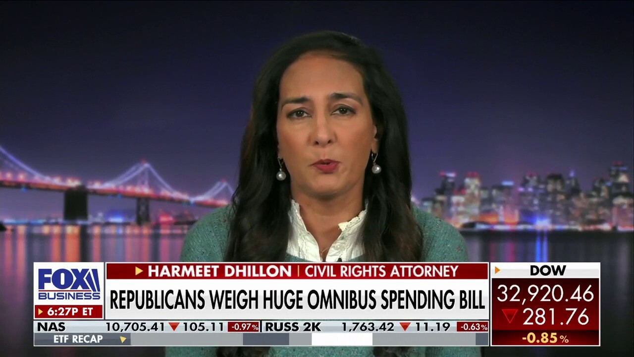 Civil Rights Attorney Harmeet Dhillon shares her advice for Republicans if they want to succeed in 2024 on 'The Evening Edit.’