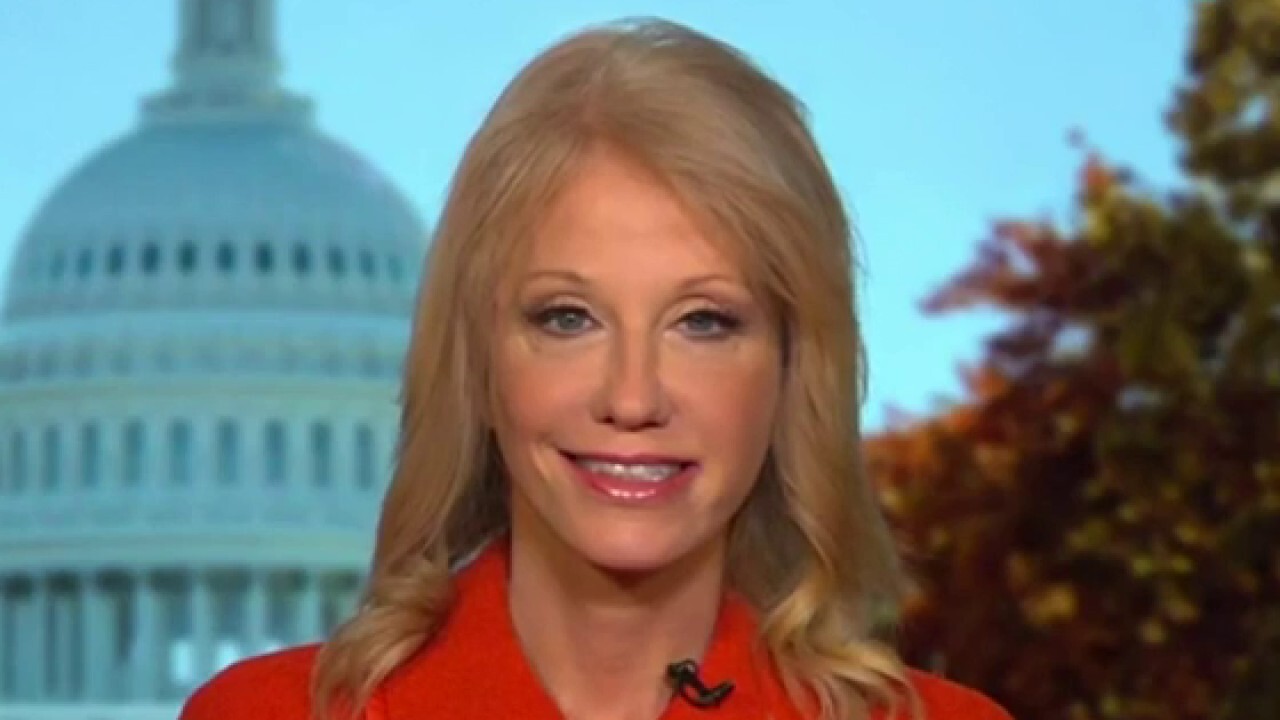 Kellyanne Conway on the 2024 election: It's all about mechanics for the Democrats