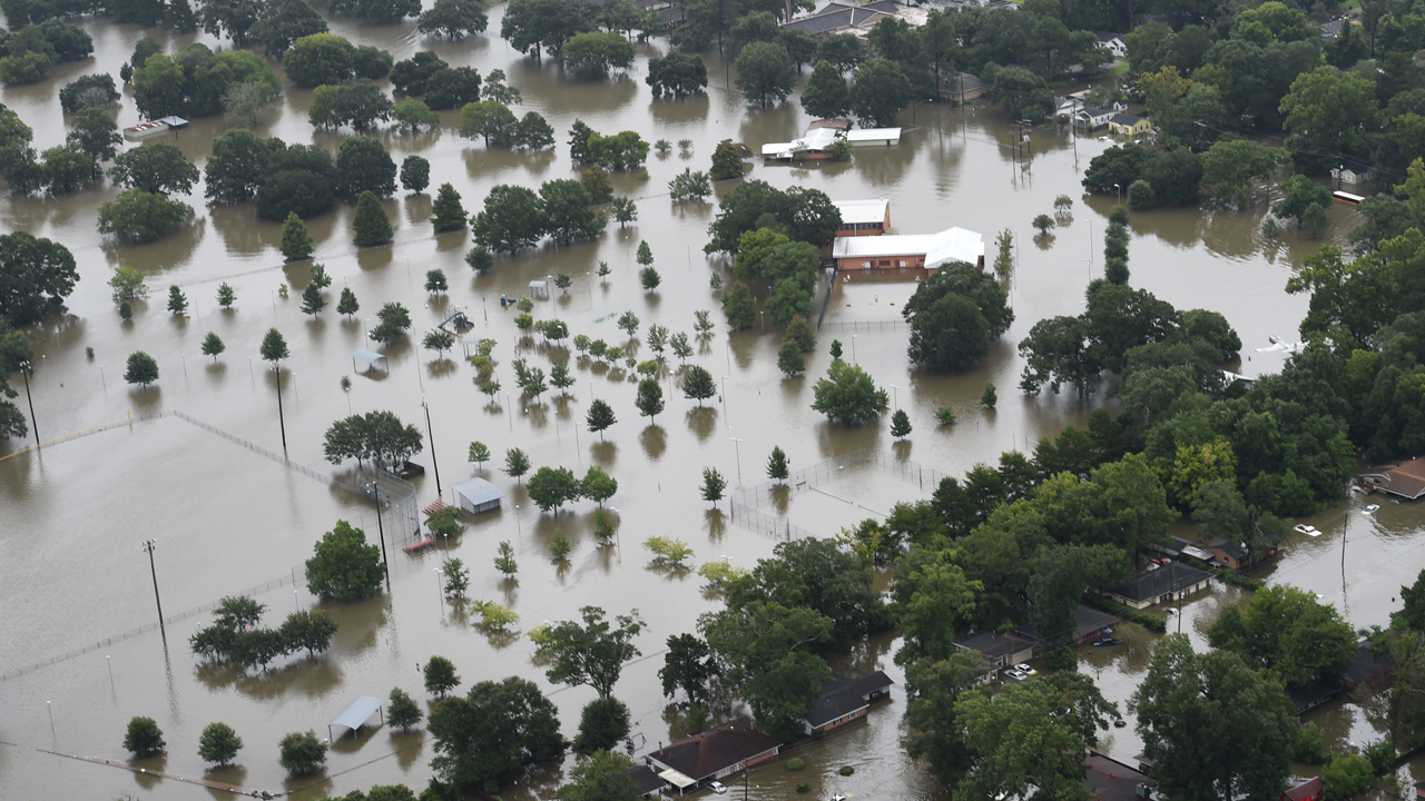 Sen. Vitter: Small biz in LA need access to capital after floods