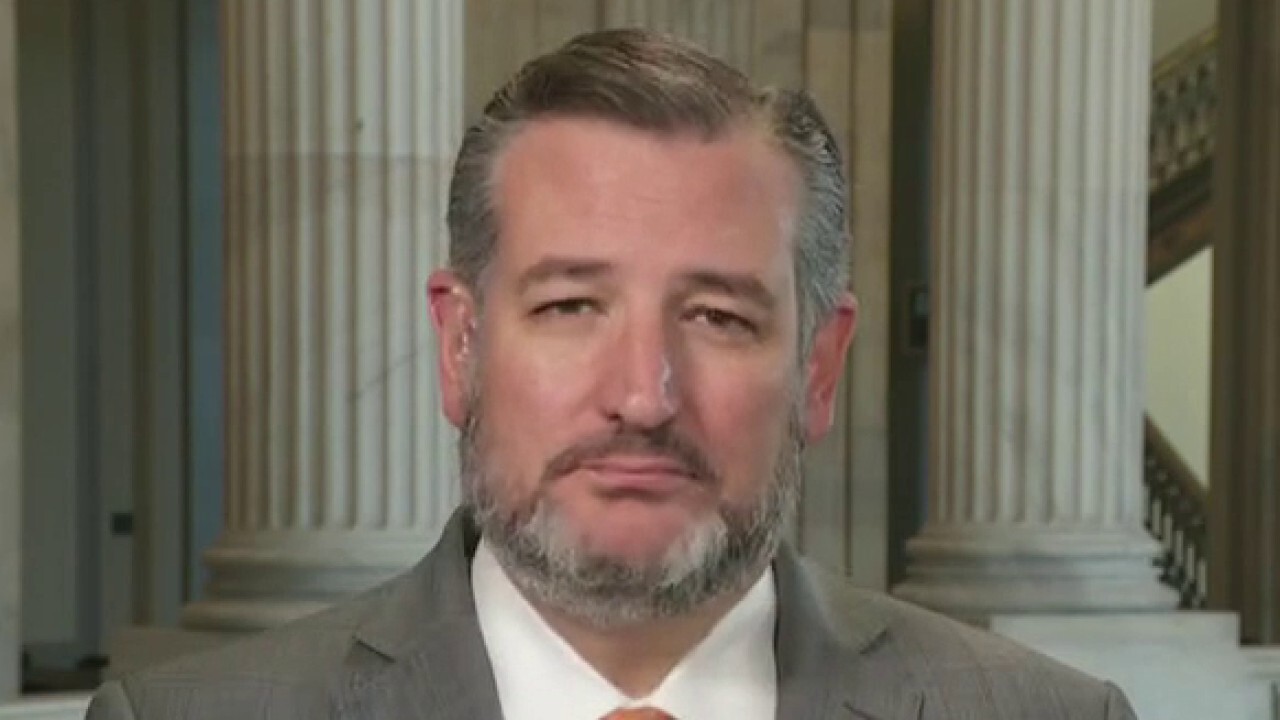 Sen. Ted Cruz: Allowing illegal migrants to work is a 'terrible idea'