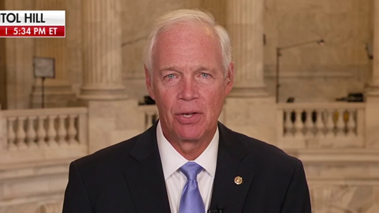 Sen. Ron Johnson: These gangs almost make ISIS look like choir boys